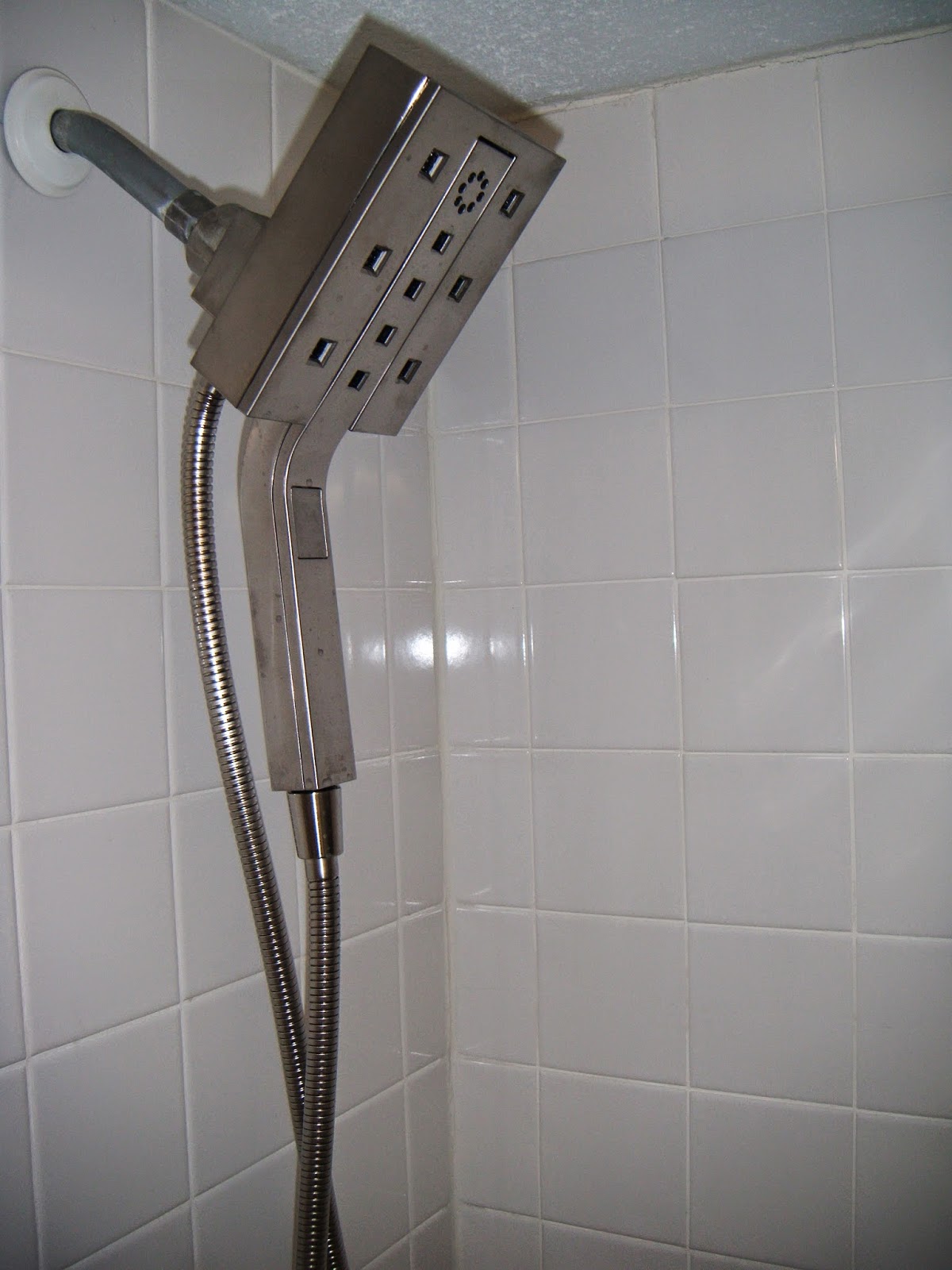 The ABCD Diaries Delta Angular Modern In2ition Shower Head Sponsored